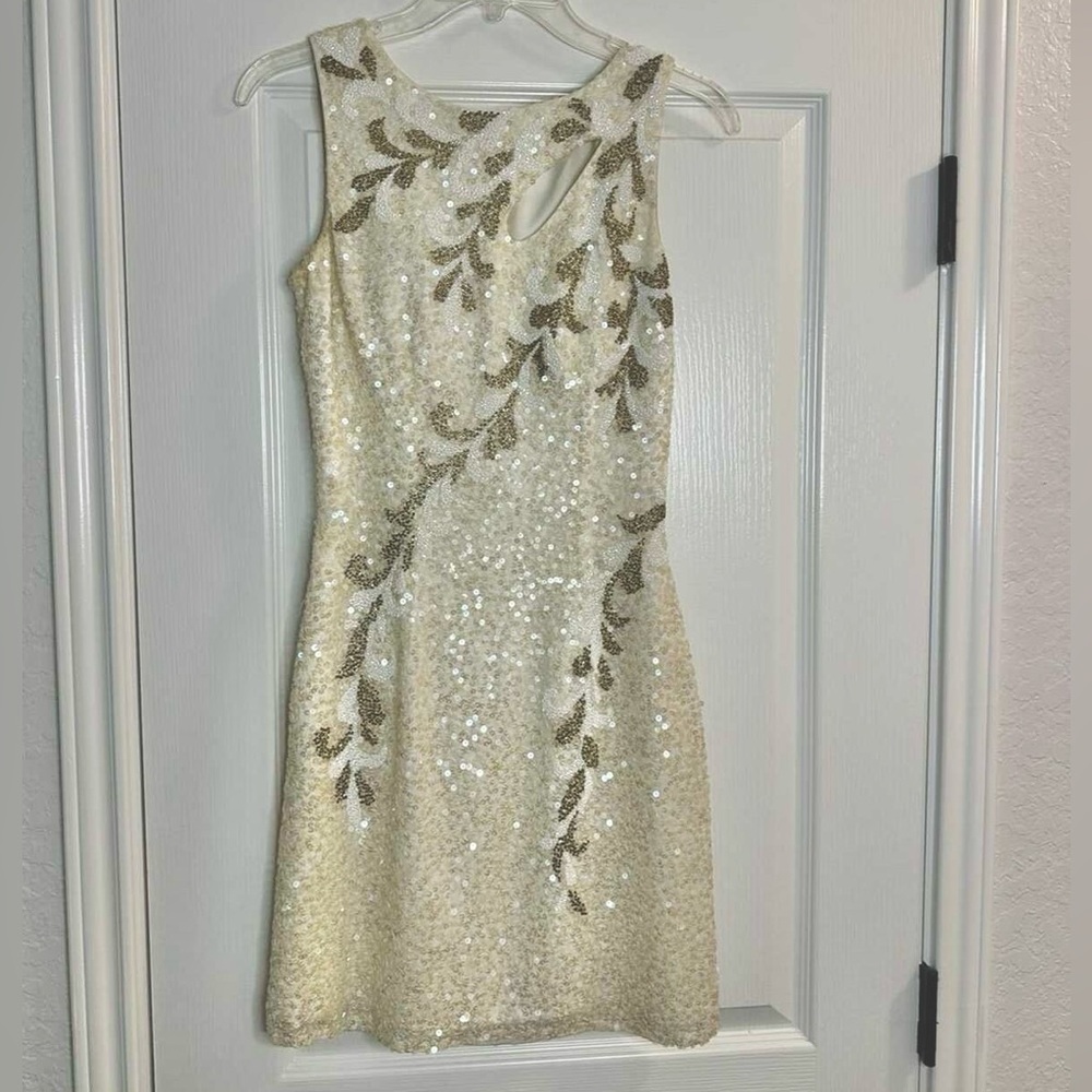 Beautiful Fully Sequined Mini Dress